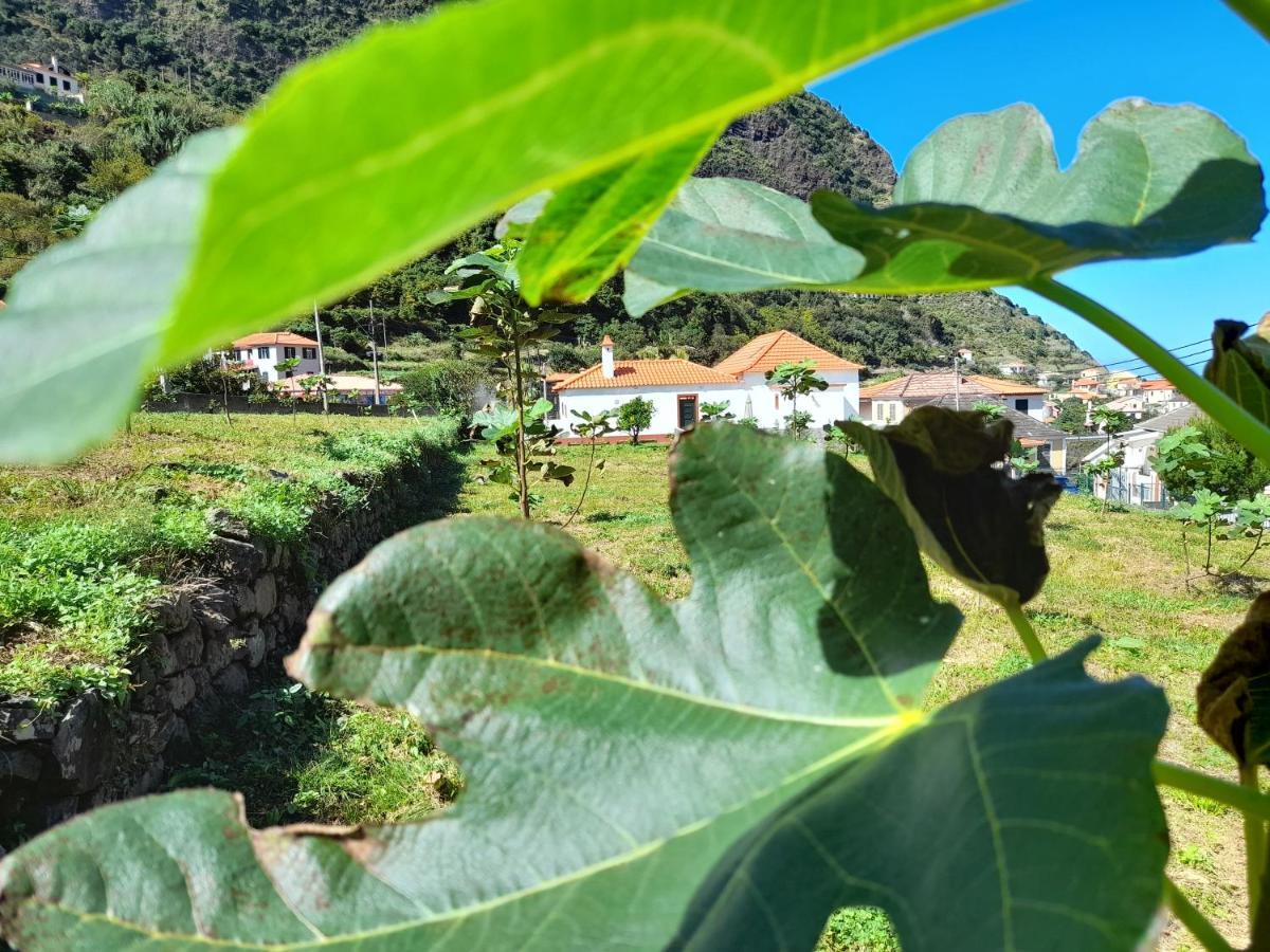 Casa Do Bago Villa São Vicente Dış mekan fotoğraf